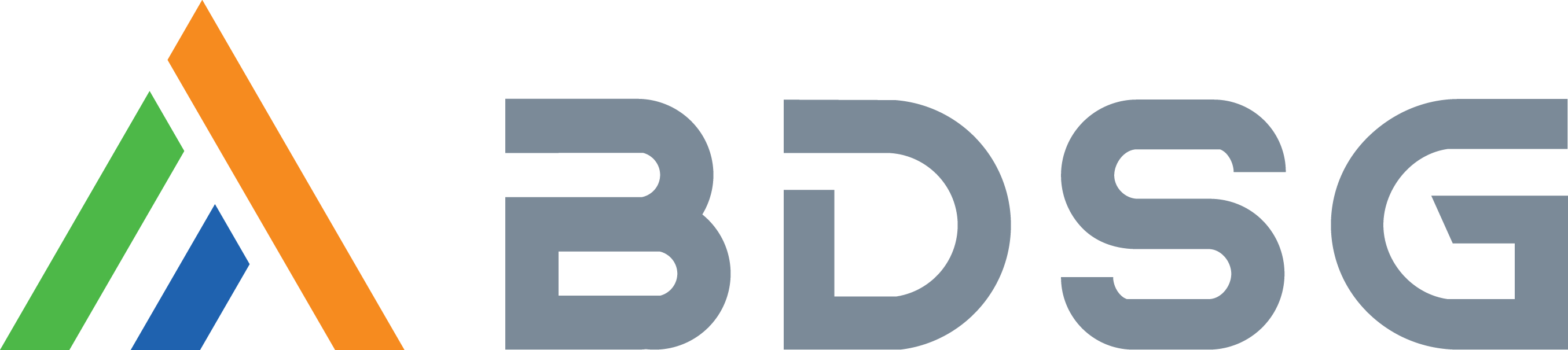 BDSG Software Logo